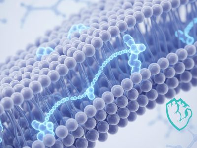 Peptides-for-Healing